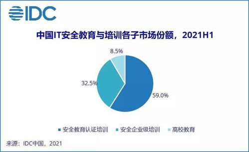 IDC報(bào)告揭示 2021上半年中國(guó)網(wǎng)絡(luò)安全服務(wù)市場(chǎng)迎爆發(fā)，網(wǎng)絡(luò)與信息安全軟件開(kāi)發(fā)成核心引擎